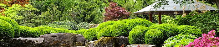 Kontakt und Impressum - J�rgen Mahler - Praxis f�r systemische Beratung und Therapie in N�rnberg