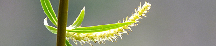 Schnelle Hilfe im Notfall